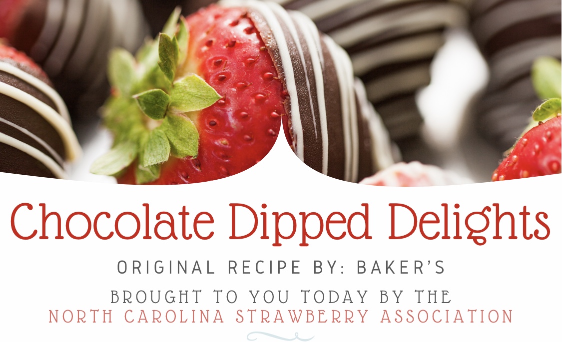 Chocolate Dipped Delights