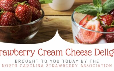 Strawberry Cream Cheese Delight