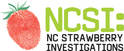 NC Strawberry Investigations