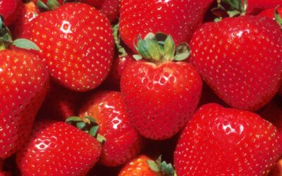 What is the history behind strawberries?