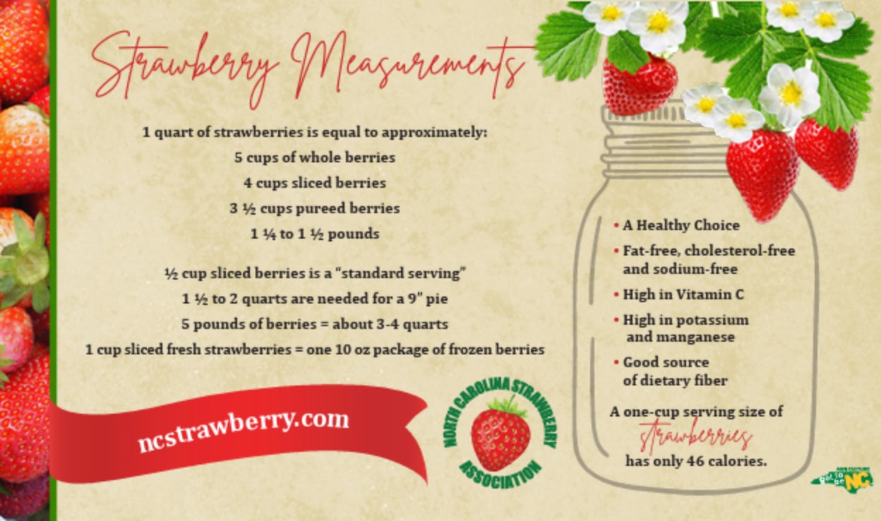 Strawberry Measurements Magnet