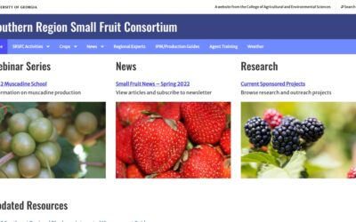 Southern Region Small Fruit Consortium